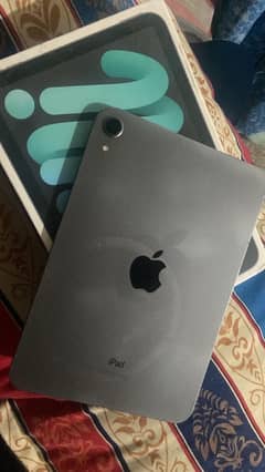 ipad mini 6 waterpack 10 by 10