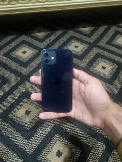 iphone 12 pta approved