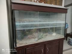 Fish Aquarium for sale