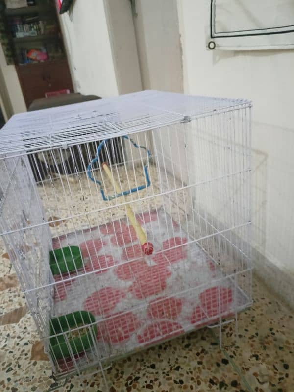 2 cage for parrots 1