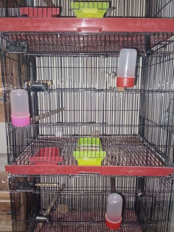 Cage for Lovebirds/Budgies/Java/Fiches/Cocktail 0