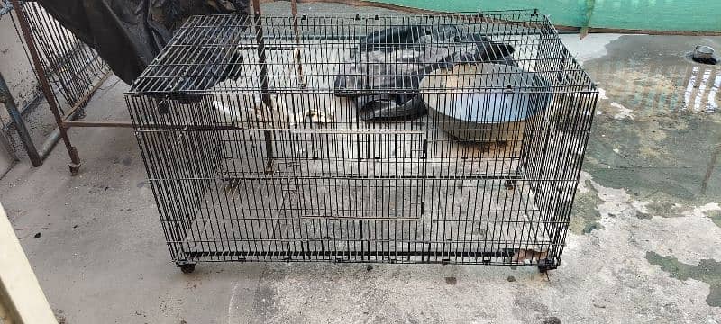 Bird cage 0