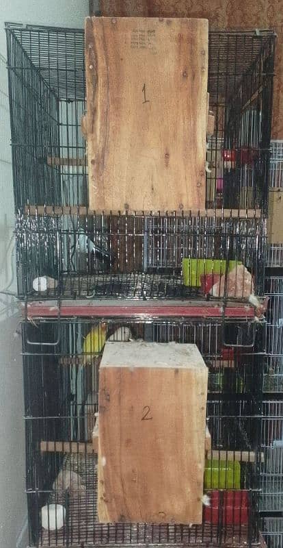 Cage for Lovebirds/Budgies/Java/Fiches/Cocktail 3