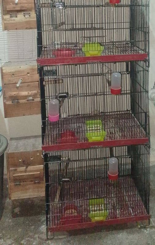 Cage for Lovebirds/Budgies/Java/Fiches/Cocktail 4