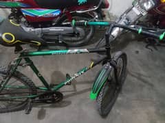 phoenix original bicycle