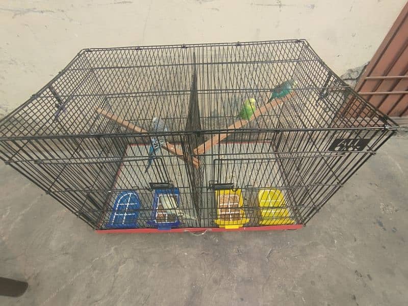 birds Cage 5