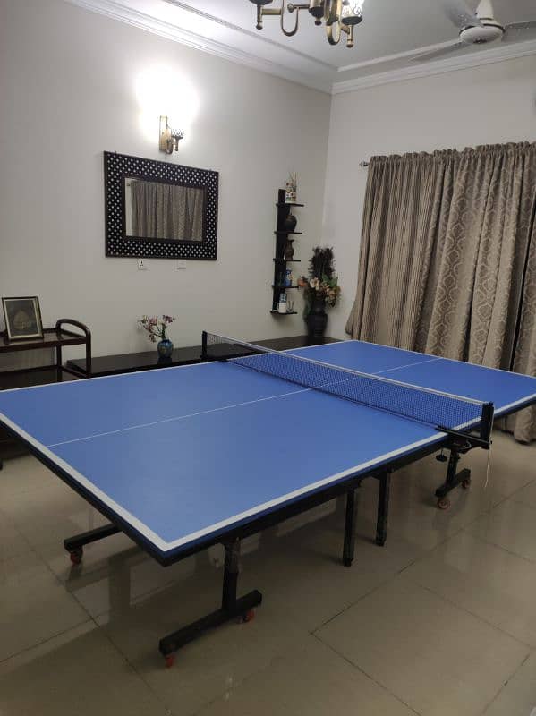 Table Tennis for sale 0