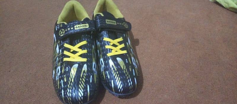 Imported Professional Football Shoes 0