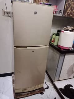 Pel Refrigerator 2300JF