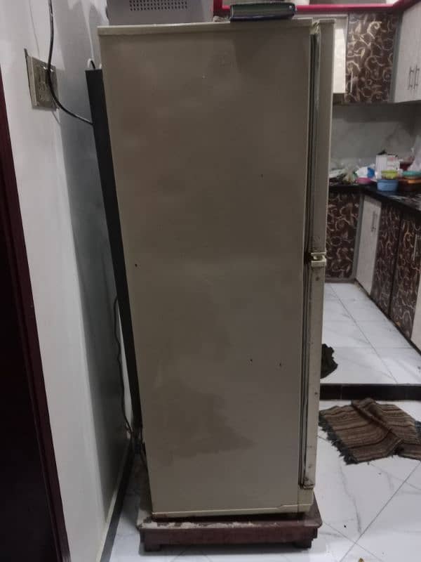 Pel Refrigerator 2300JF 2