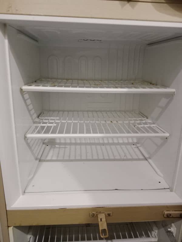 Pel Refrigerator 2300JF 6