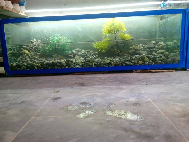 fish aquarium with decoration 1