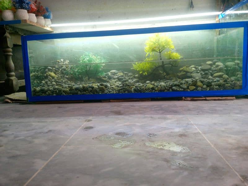 fish aquarium with decoration 2