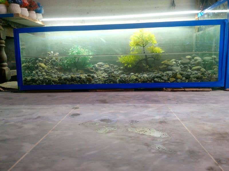 fish aquarium with decoration 3