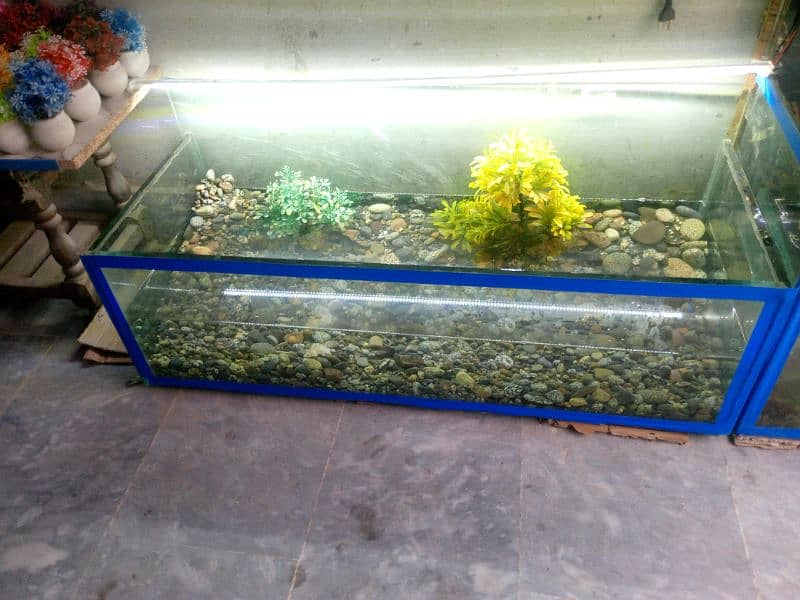 fish aquarium with decoration 4