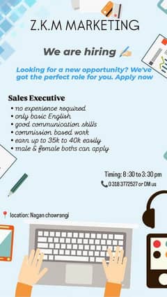 sales Executive