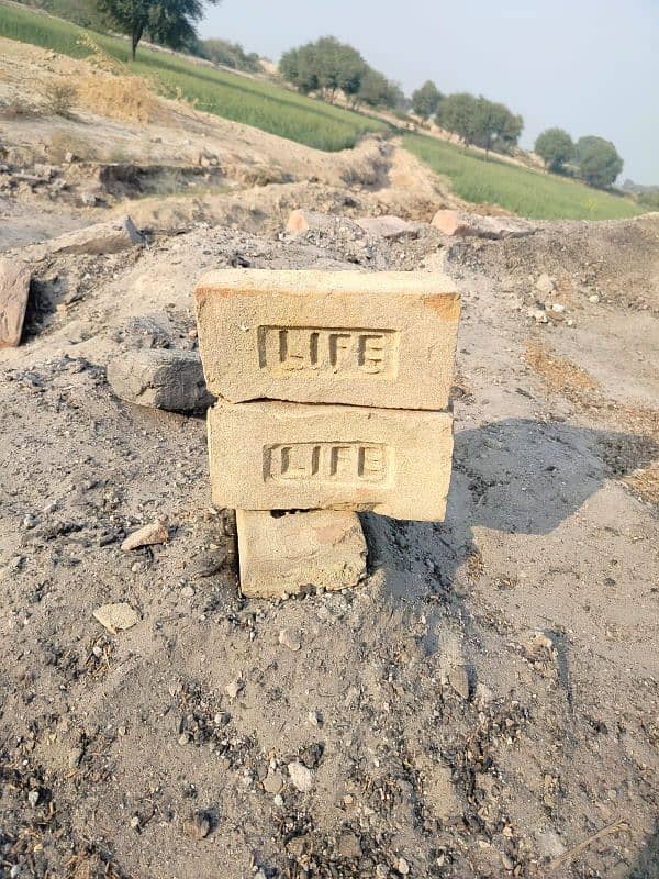 life bricks company 0