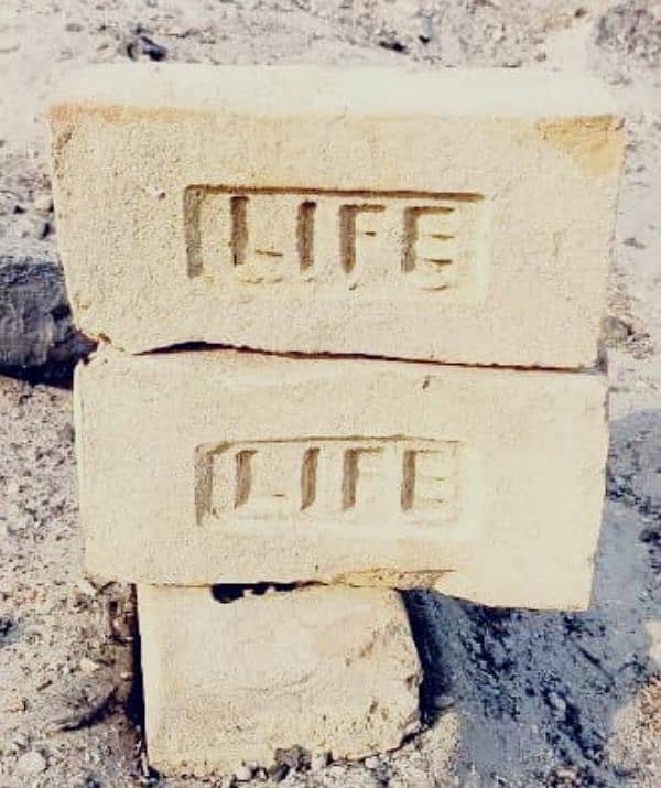 life bricks company 1