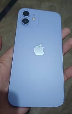 iphone 12 (64gb)GV