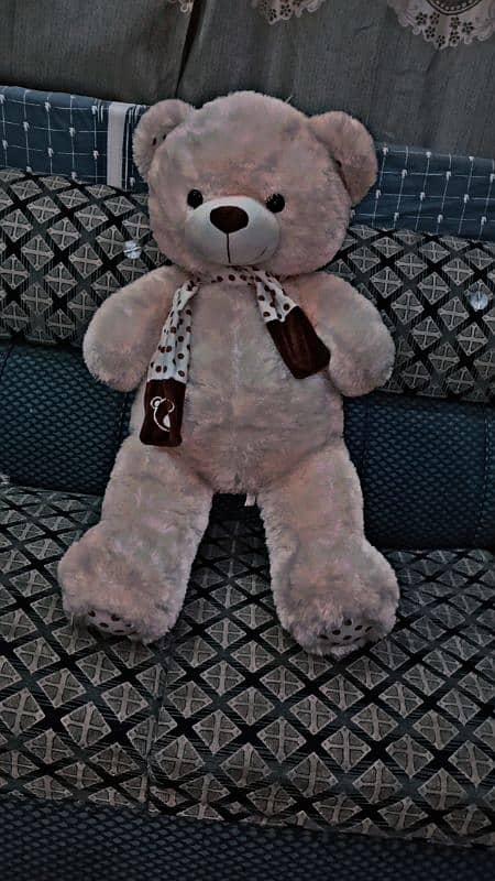 High Quality Teddy Bear Imported From China. . Only 1 piece left 2