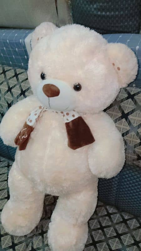 High Quality Teddy Bear Imported From China. . Only 1 piece left 8