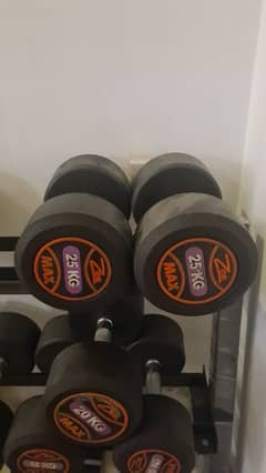 Dumbell 25kg pair