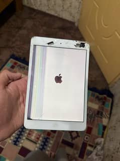 iPad Mini 2