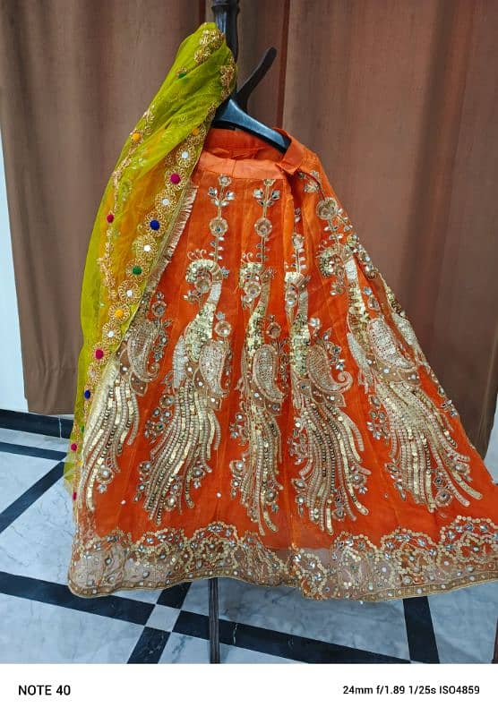 Mehndi Lehnga 2