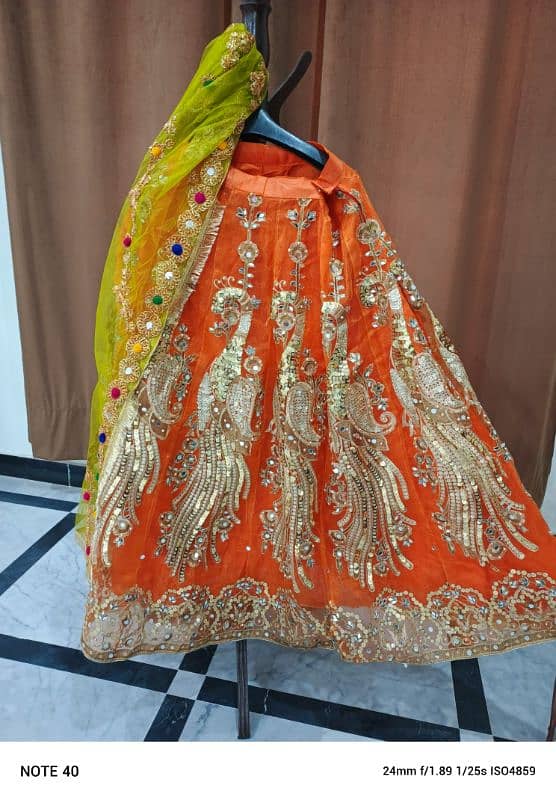 Mehndi Lehnga 3