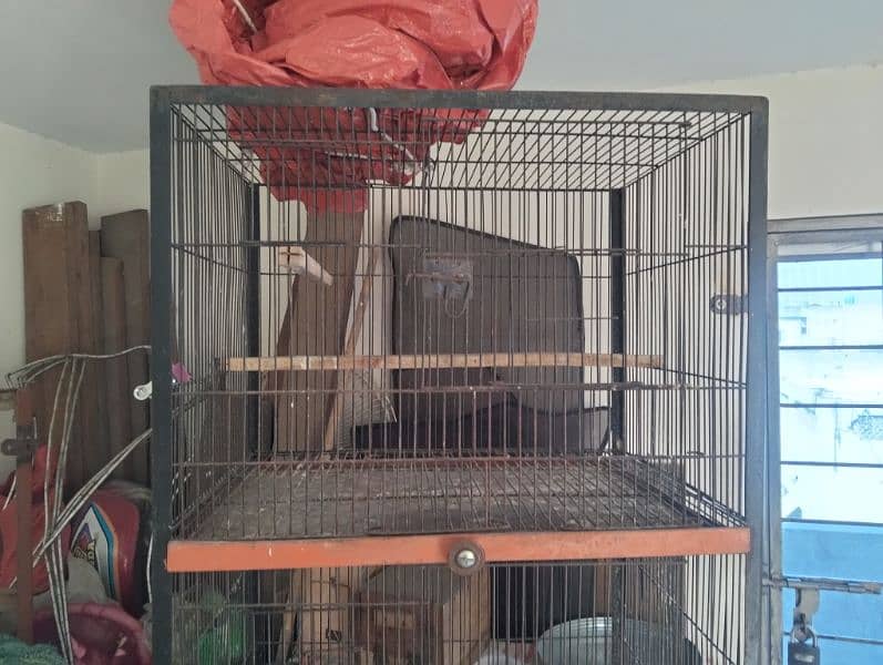 four steps cage 0