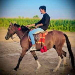 Zeeshan