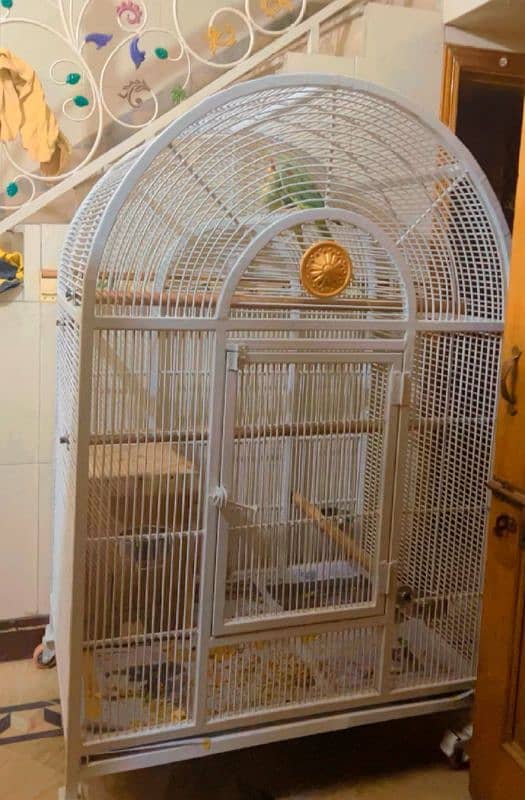 BIRD IRON CAGE 1