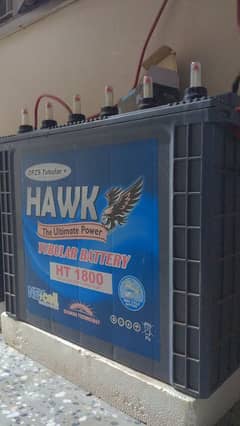 HAWKS TUBLAR+