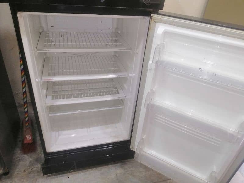 pel glassdoor fridge 4