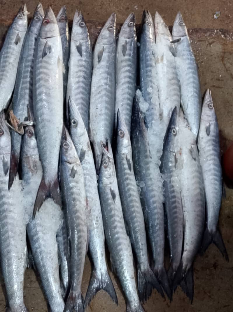 Fresh fish online delivery 2