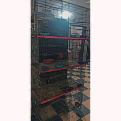 Birds Cage for Sale