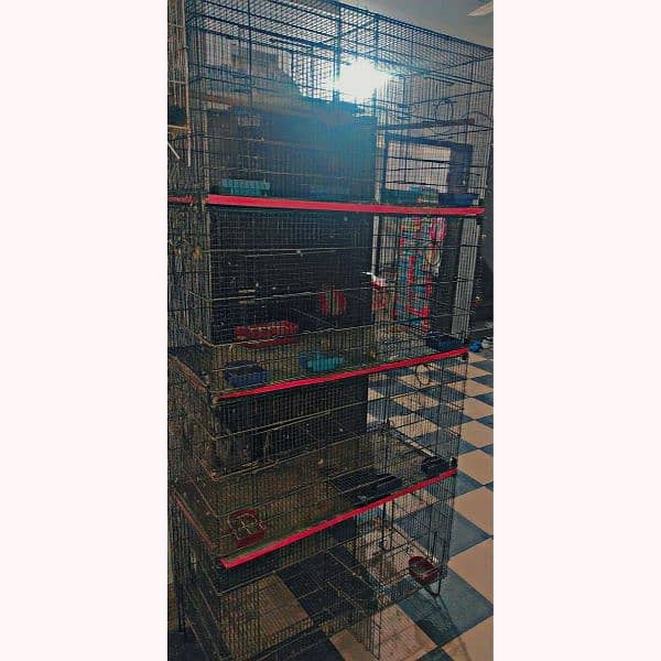 Birds Cage for Sale 0