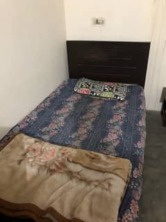 single bed /0/3/0/2/7/3/7/1/0/9/5