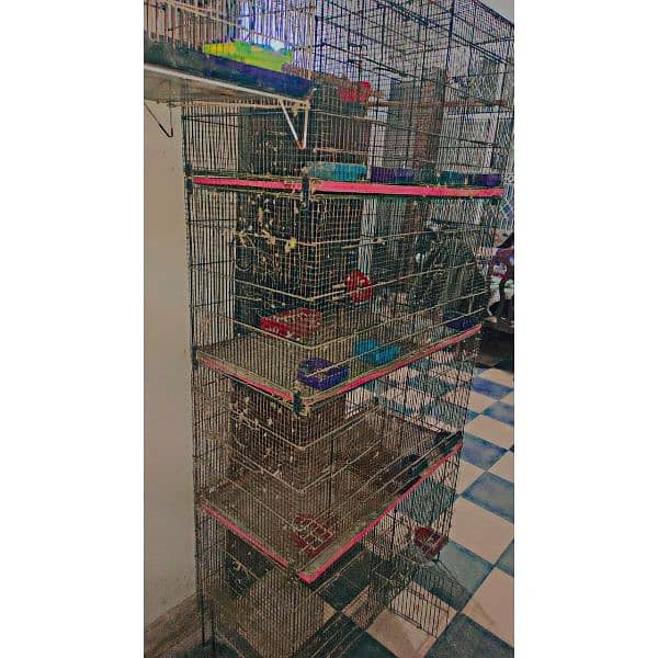 Birds Cage for Sale 1