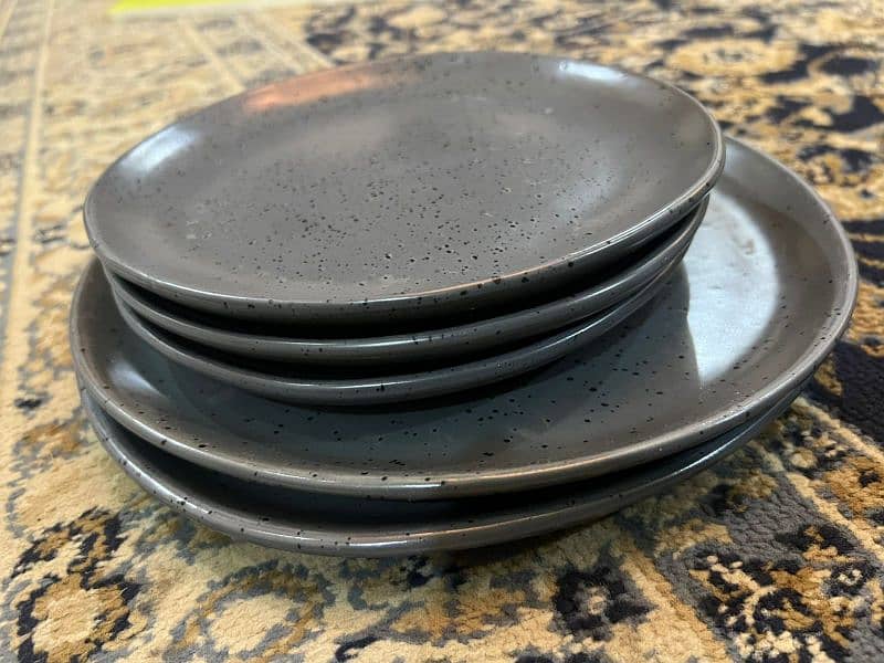 Branded plates set in 10/10 condition 2