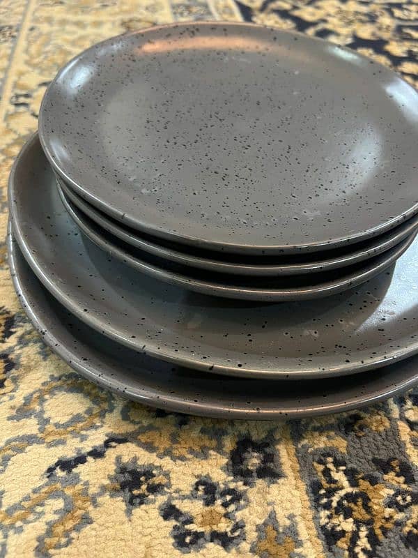 Branded plates set in 10/10 condition 5