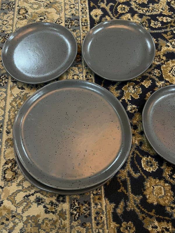 Branded plates set in 10/10 condition 6