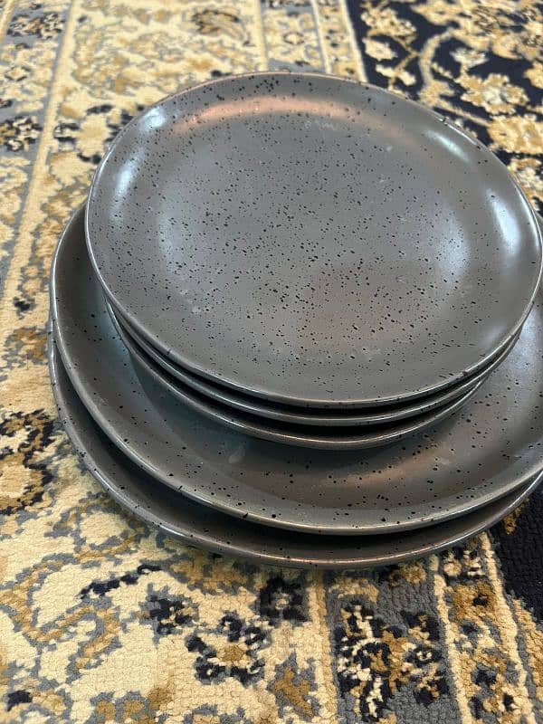 Branded plates set in 10/10 condition 7