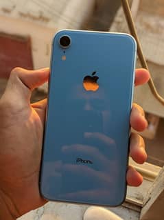 IPHONE XR F. U 64