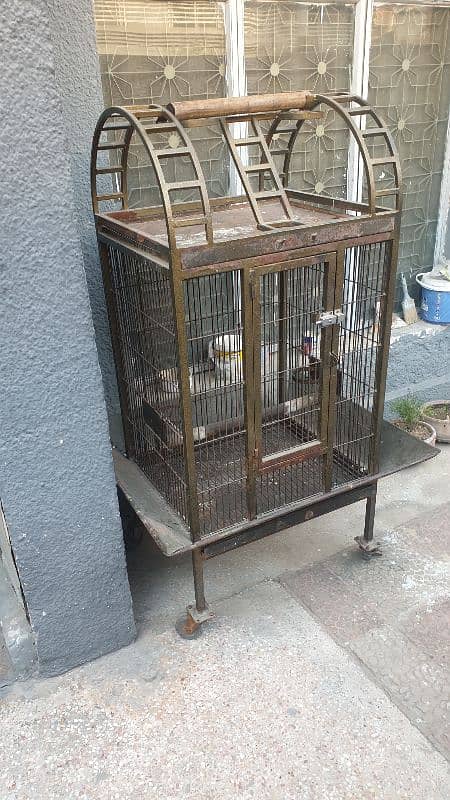 Raw & other's large birds cage 3