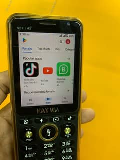 Faywa Nex 1 4G (Tuch And Keypad Hotspot)