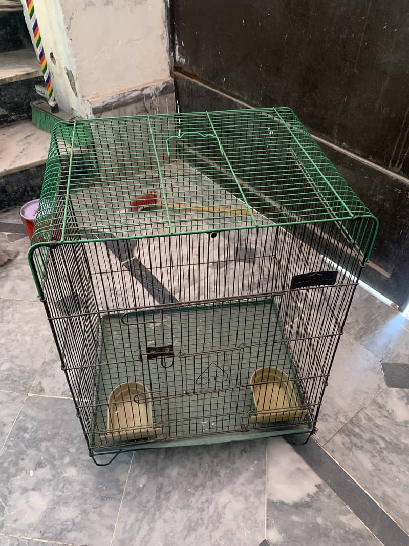 Parrot cage 0