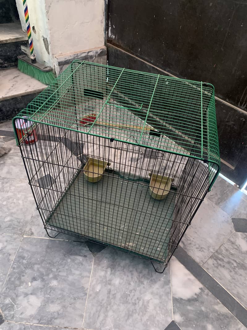 Parrot cage 1