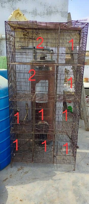 Urgent sell Cages & Seed Pot 1