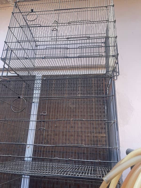 birds cage for two pairs 1